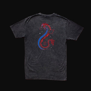 Dragon Stonewash T-Shirt